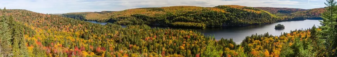 L’Essence de l’Est canadien avec Rustica