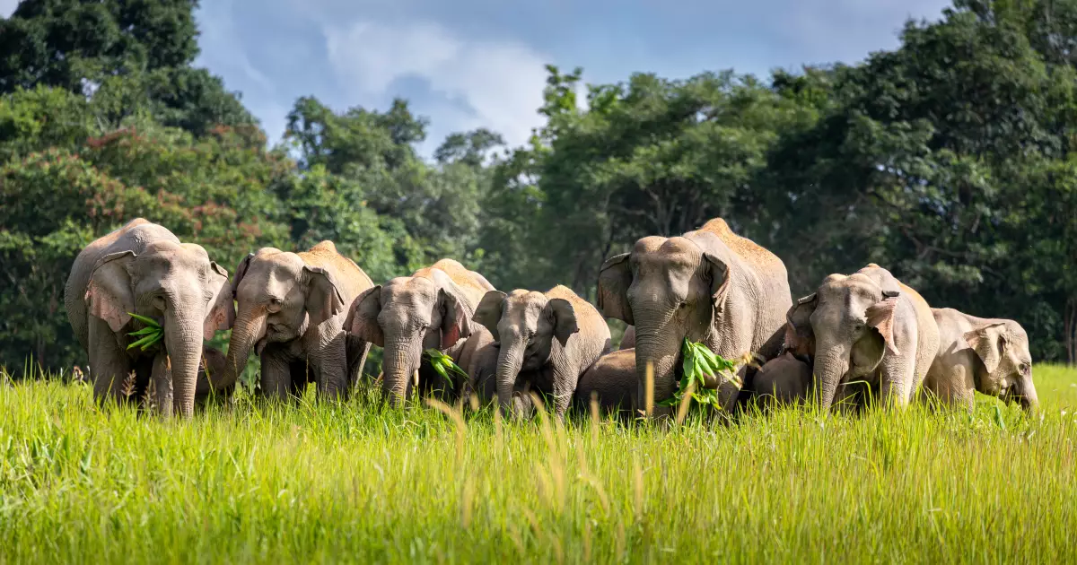 CHIANG MAI / LAMPANG / BANGKOK - TRAIN DE NUIT