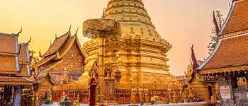 Absolu de Thaïlande avec Rustica